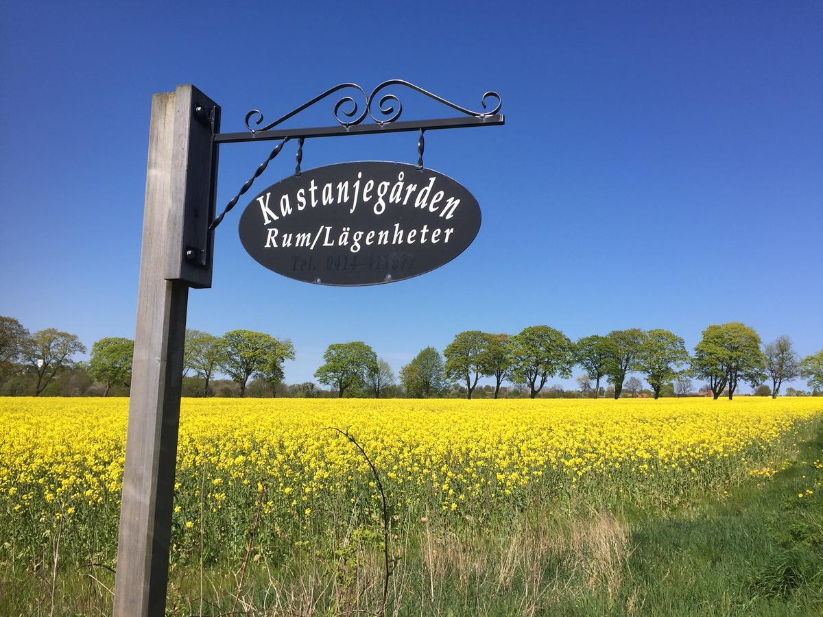 Kastanjegarden Pa Stenshuvud Kivik Eksteriør billede