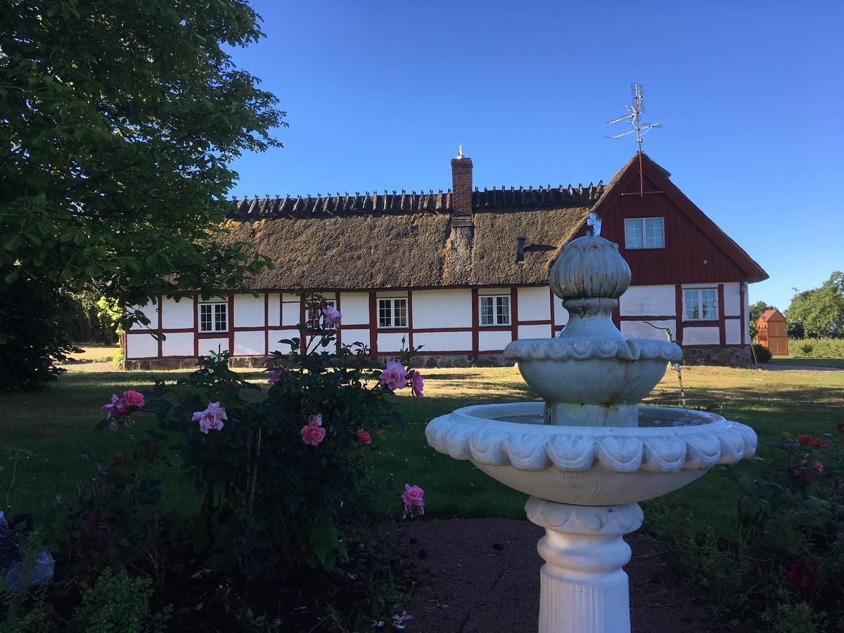 Kastanjegarden Pa Stenshuvud Kivik Eksteriør billede